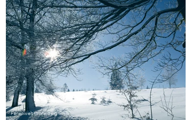 Winterwandern in der Ferienwelt Winterberg