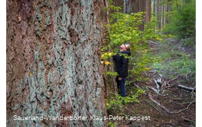 Ein staunendes Kind berüht einen Baumriesen im dichten Wald