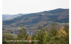 Aussicht vom Ginsterkopf auf Elleringhausen bei blauem Himmel