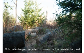 Kyrillpfad führt durch eine Landschaft von umgefallenen Bäumen