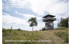 Turm an der  Schwalenburg