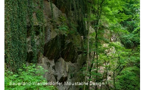 Blick auf die Felswand am Steinbruch Peperburg