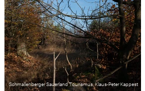 Kyrillpfad im Sauerland in der Herbstjahreszeit