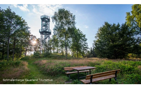 Turm auf dem Wilzenberg