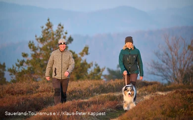 Zwei Wanderer auf der Hochheide mit einem Hund im Winter