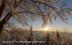 Blick auf die Winterlandschaft im Sauerland