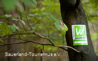 Markierungszeichen Sauerland-Waldroute