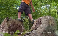 Kinder entdecken den Walderlebnispfad Bad Fredeburg