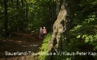 Wanderer auf der Sauerland-Waldroute