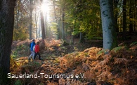 Zwei Wanderer unterwegs auf der Sauerland-Waldroute