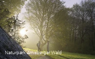 Ranger auf der Sauerland-Waldroute in Rüthen