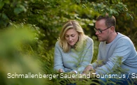Natur erleben auf dem Kyrill-Pfad im Schmallenberger Sauerland