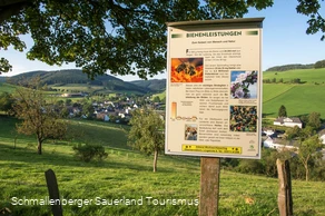 Bienenlehrpfad auf der Golddorf-Route Oberhenneborn